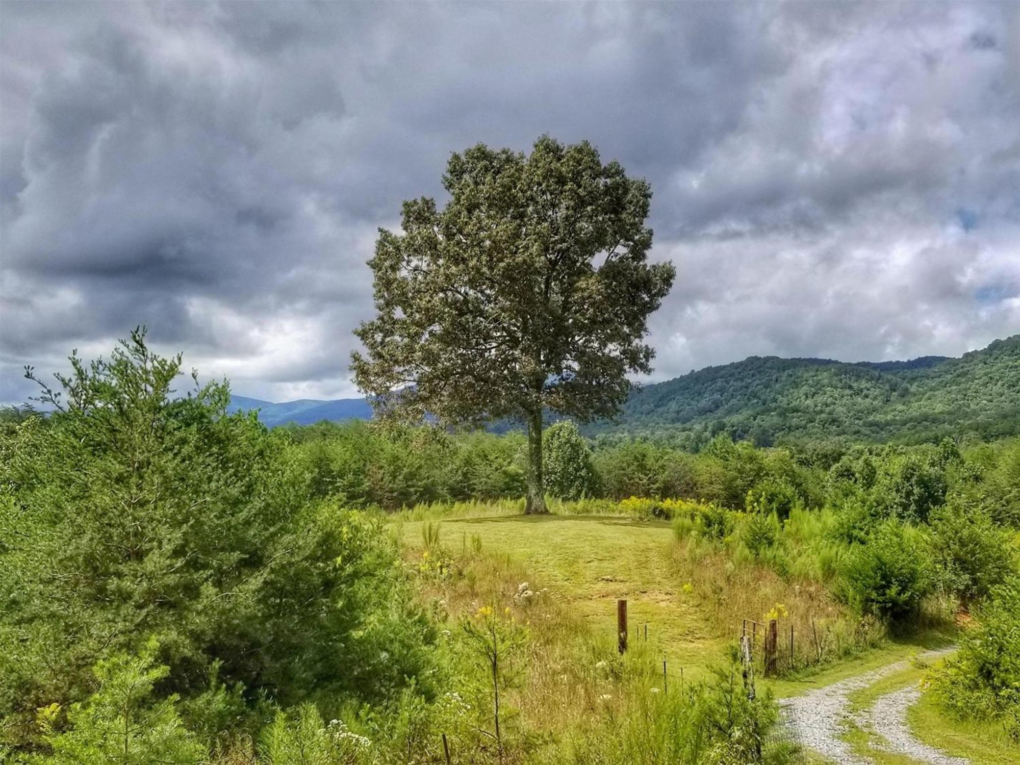Eula Mae- Ocoee River Area Copperhill 외부 사진